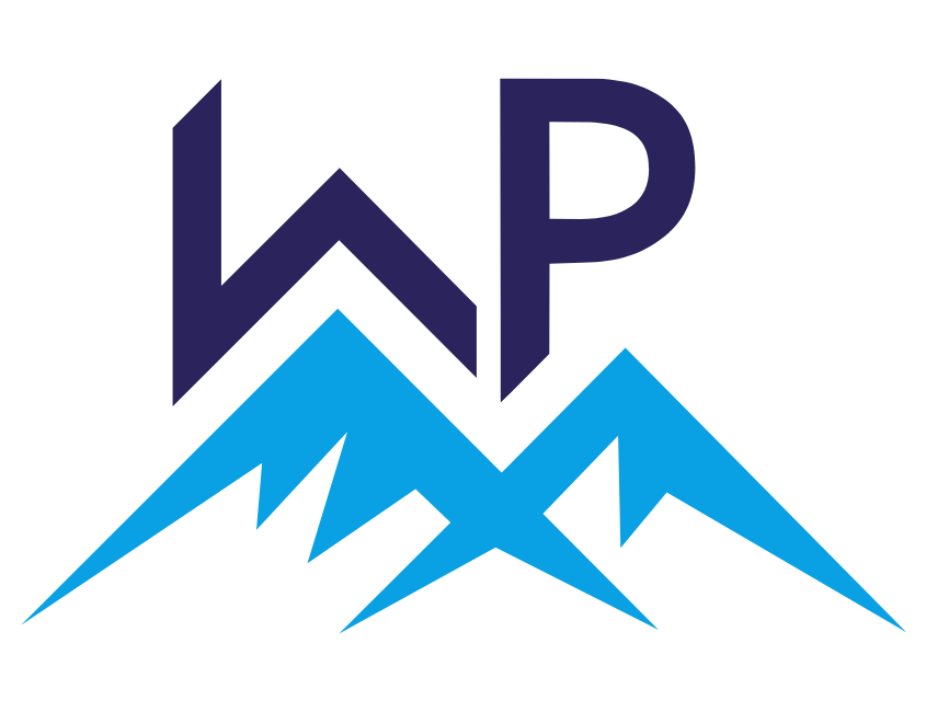 WP-Meister Logo